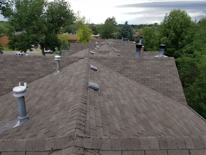 Shingles