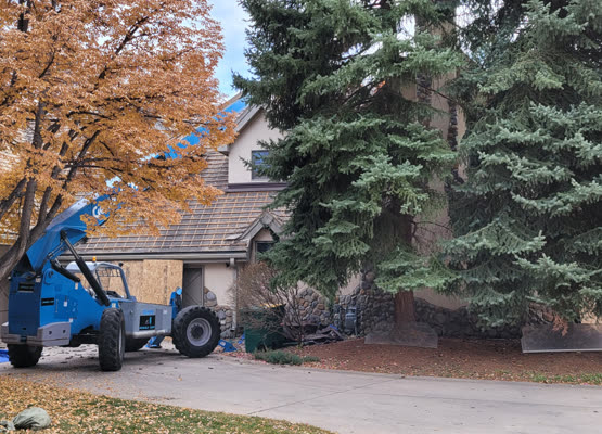New cedar privacy fence along a Colorado residential backyard
